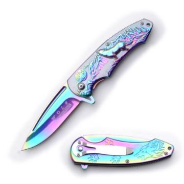 Dark Fantasy Blades Spring Assist Knife . DF-1110RB